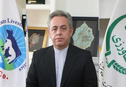 آغاز طرح خرید حمایتی ۲۰ هزار راس دام از هفته آینده